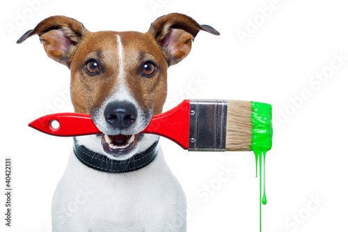 Foto: dog as a painter with a brush and color dog as a painter with a brush and color