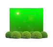 buxus talllés devant panneau vert