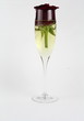 champagne