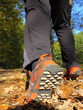 Photo: man walking cross country trail in autumn forest man walking cross country trail in autumn forest