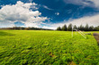 Playground with dramatic sky