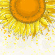 The square frame with sunflowers
