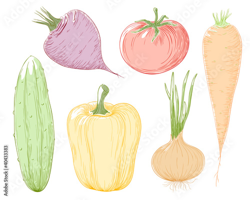 Vector: Vector illustration vegetables. Vector illustration vegetables.