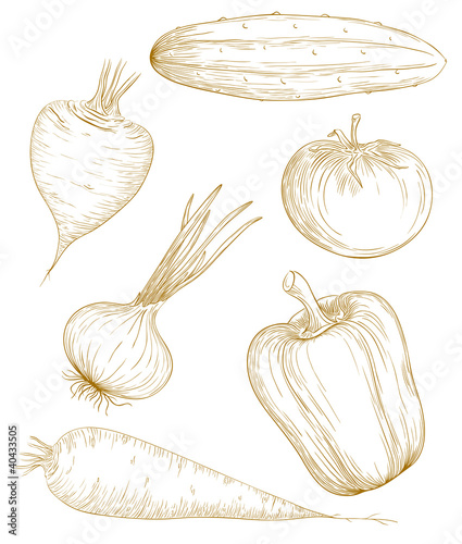 Vector: Vector illustration vegetables. Vector illustration vegetables.