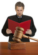 Gavel & male judge
