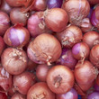 Photo: onions, food background onions, food background