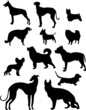 dog set
