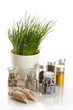 spices with chive and mortar