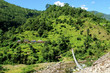Green rice fields and mountain river landscape, trek to Annapurn