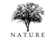 Nature Nature