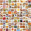 121 food images