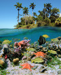Beautiful nature