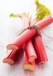 fresh rhubarb