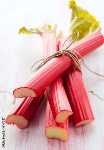 Photo: fresh rhubarb fresh rhubarb