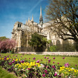 Photo en ligne au meilleur prix Notre dame de Paris - France