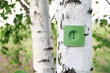 eco energy concept