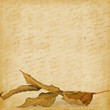 Bright autumn leaves on the abstract background with handwrite t Bright autumn leaves on the abstract background with handwrite t