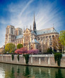 Notre dame de Paris - France