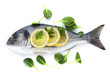 Fresh fish with lemon and parsley isolated on white.