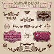 Calligraphic vintage elements Congratulation and page decoration
