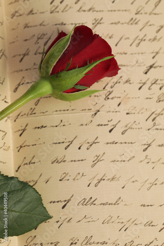 Photo: Rose mit antiker Schrift Rose mit antiker Schrift