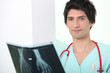 Radiologist looking at an x-ray