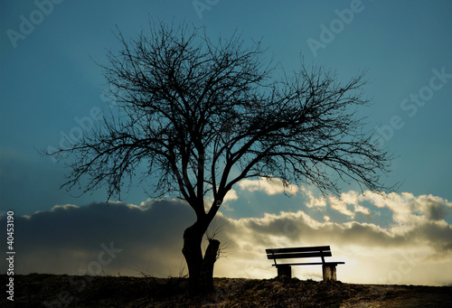 Photo: Einsame Winterbank Einsame Winterbank