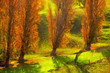 A  photo of Sunrise in autumn in New Zealand