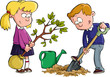 Planting a tree