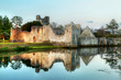 Ruins of the castle in Adare, Co. Limerick - Ireland Ruins of the castle in Adare, Co. Limerick - Ireland