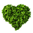 heart symbol made of leafs heart symbol made of leafs