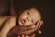 a baby lying on an adult's palm.