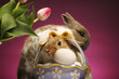 Two rabbits and a basket of eggs.