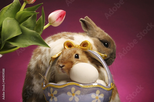 Photo: Two rabbits and a basket of eggs. Two rabbits and a basket of eggs.