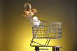 A chick on a trolley of eggs.