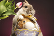Two rabbits and a basket of eggs.