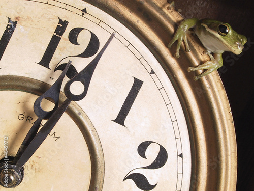 Foto: A frog on a clock. A frog on a clock.
