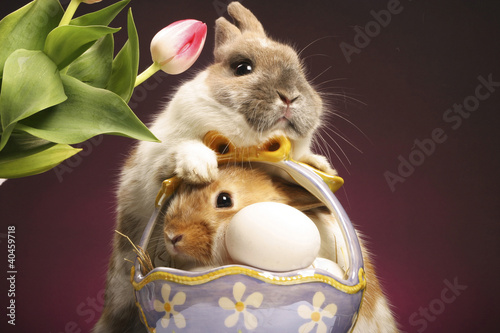 Photo: Two rabbits and a basket of eggs. Two rabbits and a basket of eggs.