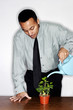 Foto: Businessman watering plants. Businessman watering plants.