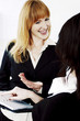 Businesswomen discussing project.