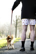 Businessman in boxer shorts walking his dog.