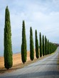 Typical tuscan landscape