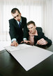 Businessman and his assistant reading through a contract.