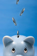 Coins dropping into a piggy bank slot