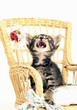 Kitten looking up while sitting on the chair
