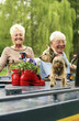 Foto: Senior couple and their pet dog on the houseboat Senior couple and their pet dog on the houseboat