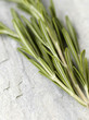 Rosemary