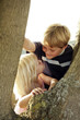Children climbing up a tree