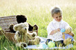 Little boy's picnic with teddy bears