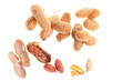 Peanuts isolated on white